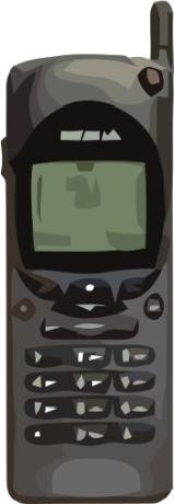 Nokia 2110 Actual Size Image