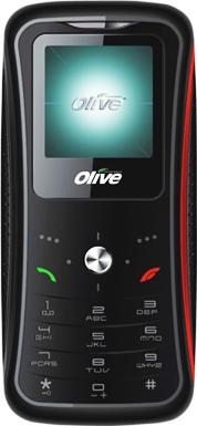 Olive V-G2100 Actual Size Image