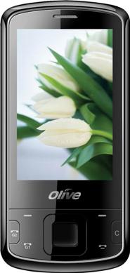 Olive V-G500 Actual Size Image