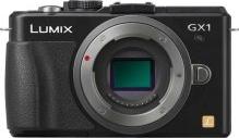 Panasonic Lumix DMC-GX1 Actual Size Image