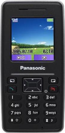 Panasonic SC3 Actual Size Image