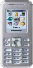 Panasonic X100 Actual Size Image