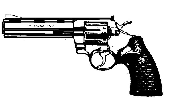 S&amp;W python 375.cartridge Actual Size Image