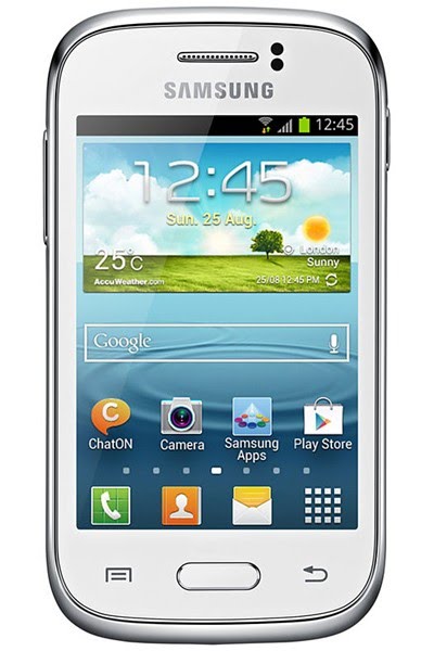 Samsung Galaxy Young Actual Size Image