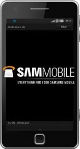 Samsung I9500 Fraser Actual Size Image