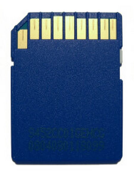 SD card - Back Actual Size Image