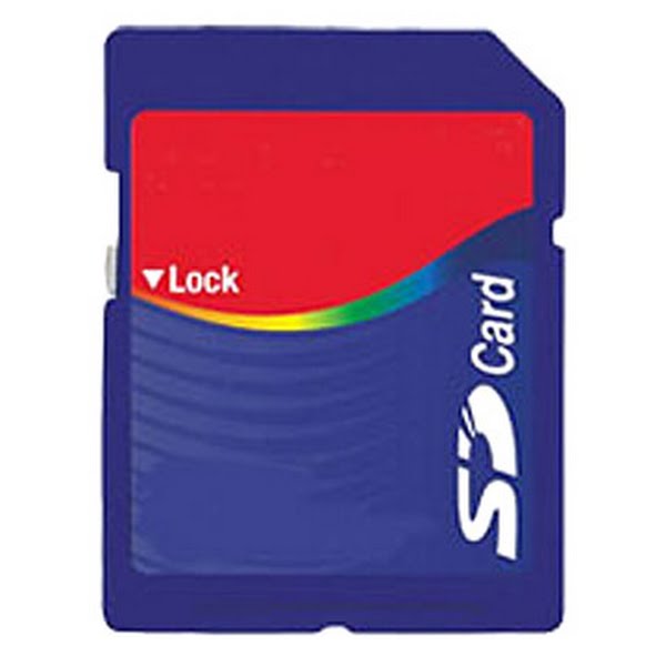 SD Card Actual Size Image