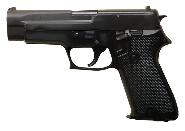Sig Sauer P220 Actual Size Image