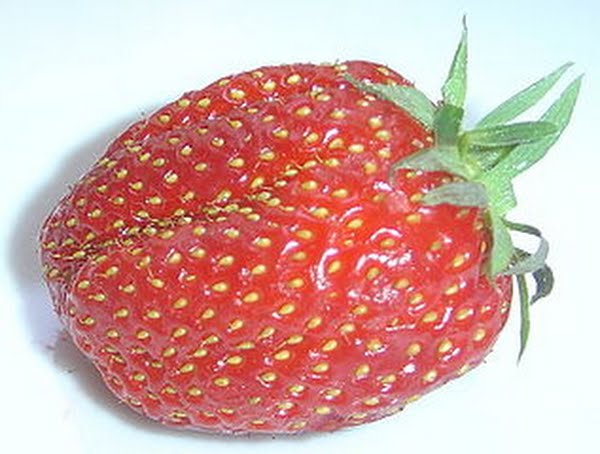Strawberry Actual Size Image