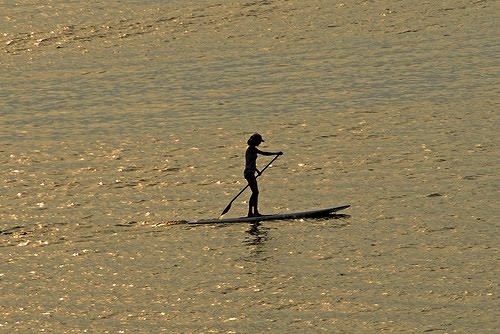 surfer Actual Size Image