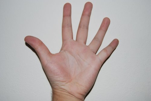Sushy's Hand :3