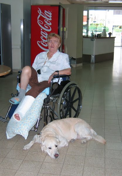 Tam &amp; Hope my wife in hospital with her guide dog Actual Size Image