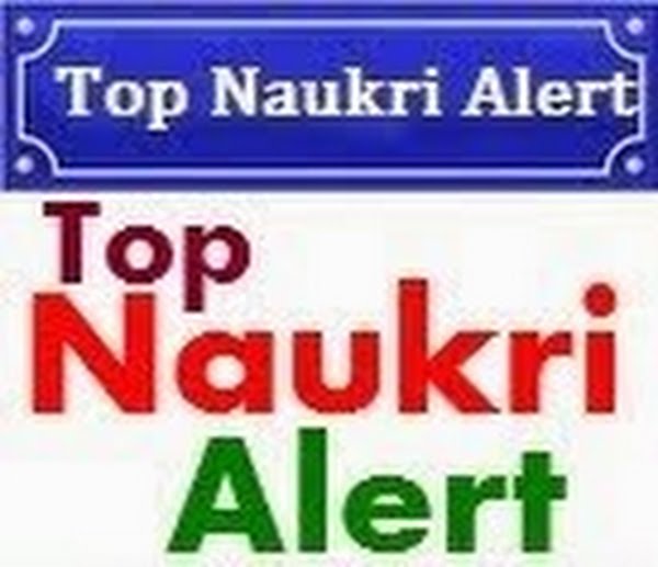 top naukri alert Actual Size Image