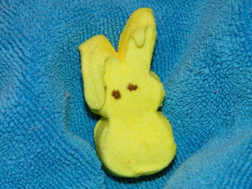 Waving Peep Actual Size Image