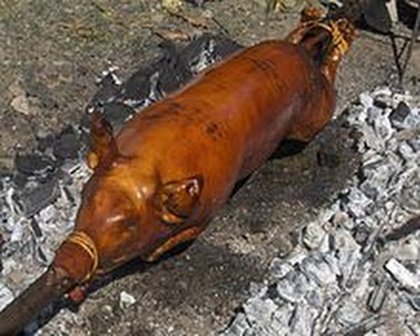 xchon Actual Size Image